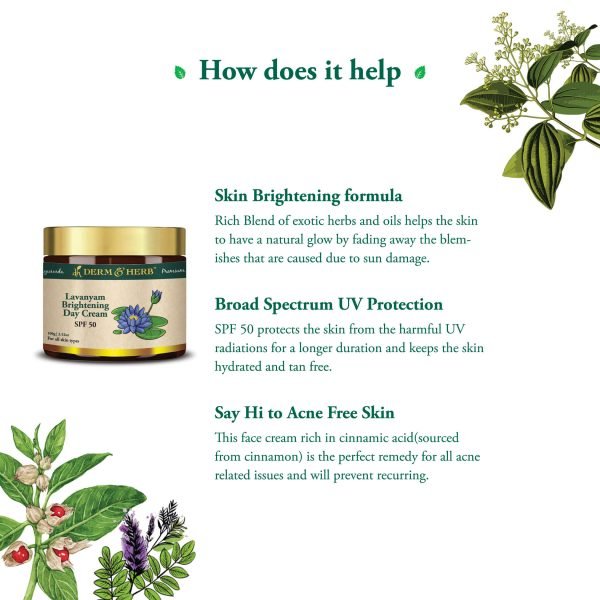 Lavanyam Skin Repair And  Brightening Day Cream - Image 3